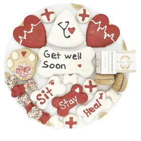 Get Well Soon TheM Dog Treats Gift Box - 21 treats