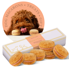 Dog Macarons - Count of 6 (Dog Treats | Dog Gifts) - Pumpkin