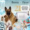 Winter TheM Dog Treats Gift Box - 21 treats