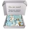 Winter TheM Dog Treats Gift Box - 21 treats